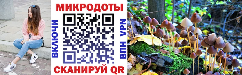 Купить закладки  Лакинск  Галлюциногенные грибы Cubensis 